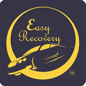 Easy REcovery - Exhibit Partner - Banking Frontiers - NBFC 2022
