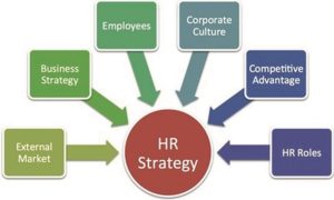 HR strategy revamp